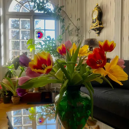 Couette-café Wildrose Berne