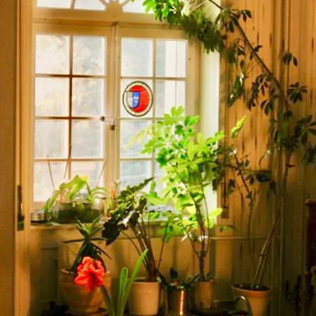 Bed and breakfast Wildrose Berna