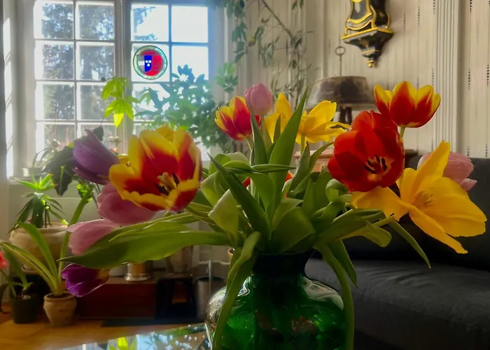 לינה וארוחת בוקר Wildrose ברן