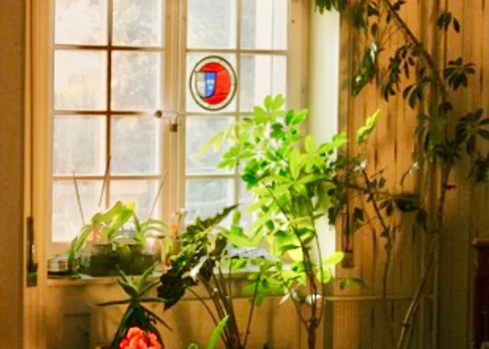 לינה וארוחת בוקר Wildrose ברן